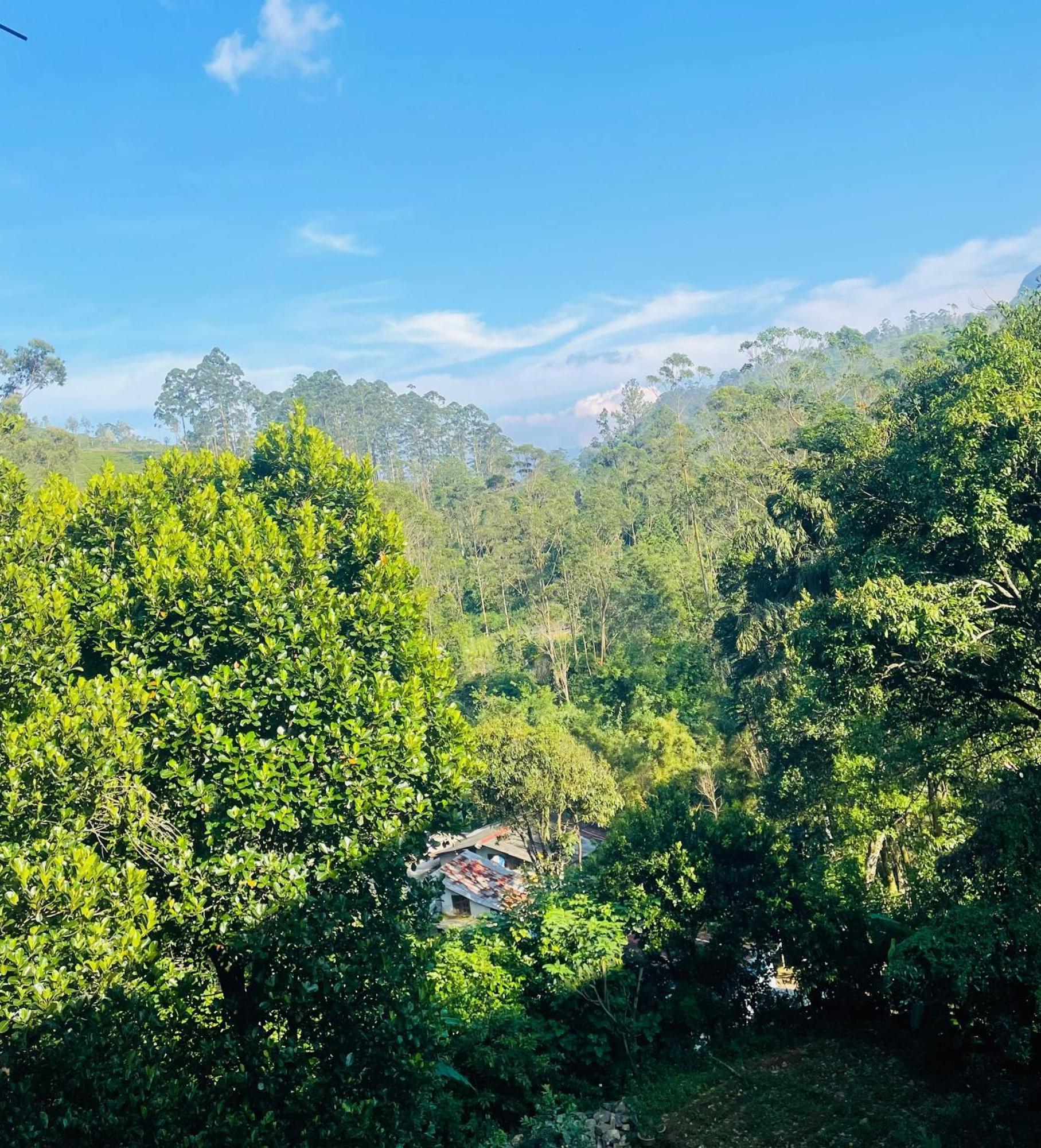 Sun Mount Adams Peak Hotel Nallathanniya Bagian luar foto