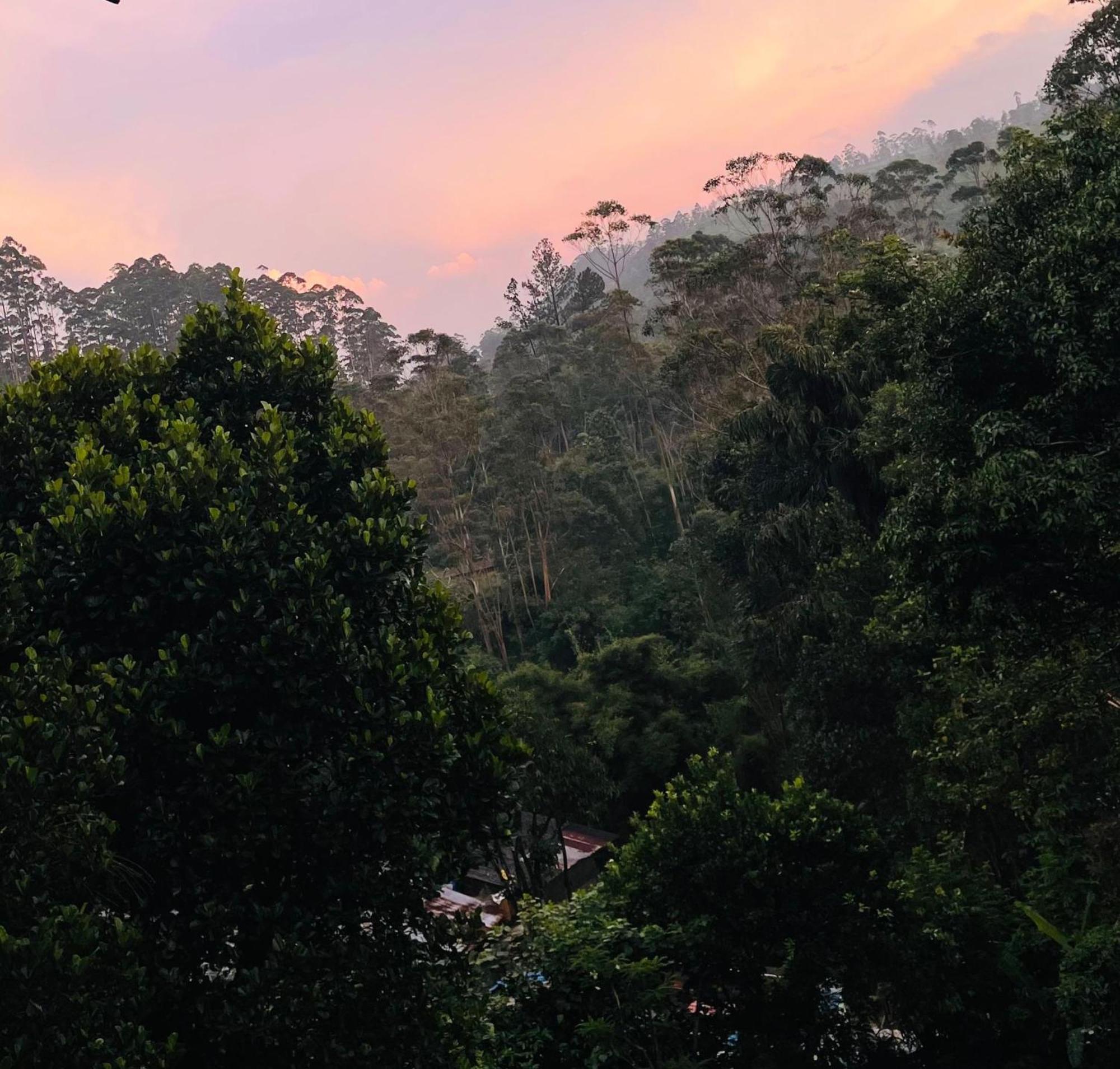Sun Mount Adams Peak Hotel Nallathanniya Bagian luar foto